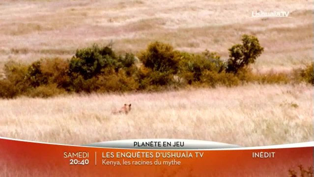 Les enquêtes d'Ushuaïa TV : Kenya, les racines du mythe
