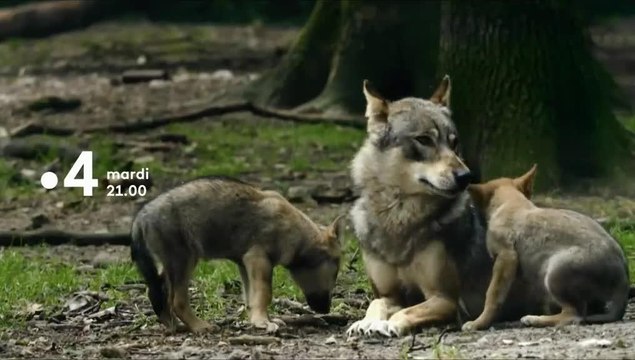 Premiers pas dans la nature - 20 novembre