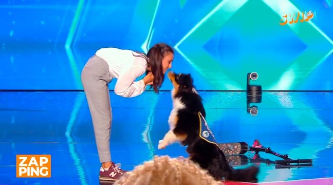 La France a un incroyable talent : le jury bouleversé par la prestation d'Emma et de son chien
