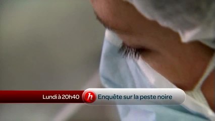 Enquête approfondie sur la peste noire
