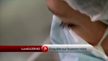Enquête sur la peste noire