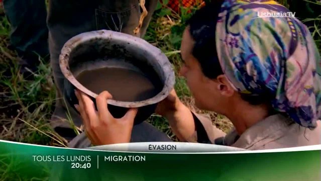 Migrations saison 1
