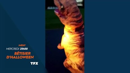 Bêtisiers du net : Spécial Halloween