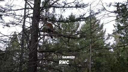 Seuls face à l’Alaska - 3 novembre