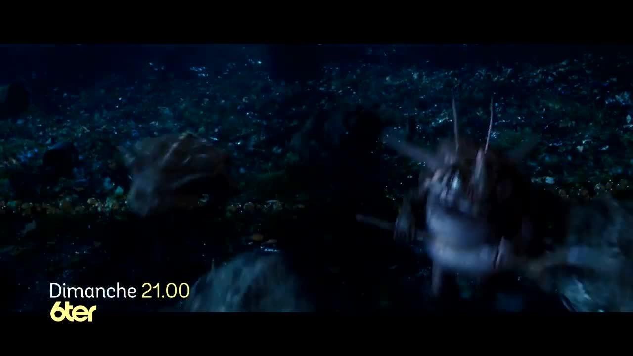 Les chroniques de Spiderwick
