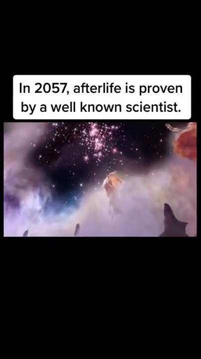 TikTok Time traveller - That One Time Traveler 3