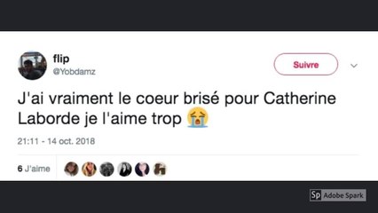 Le combat de Catherine Laborde bouleverse les internautes