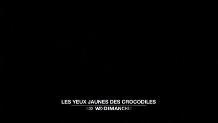 Les yeux jaunes des crocodiles