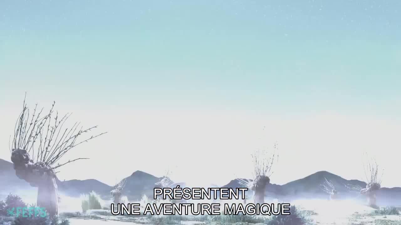 La _sorcière dans les airs