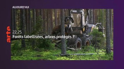 Forêts labellisées, arbres protégés ?  - 16 octobre