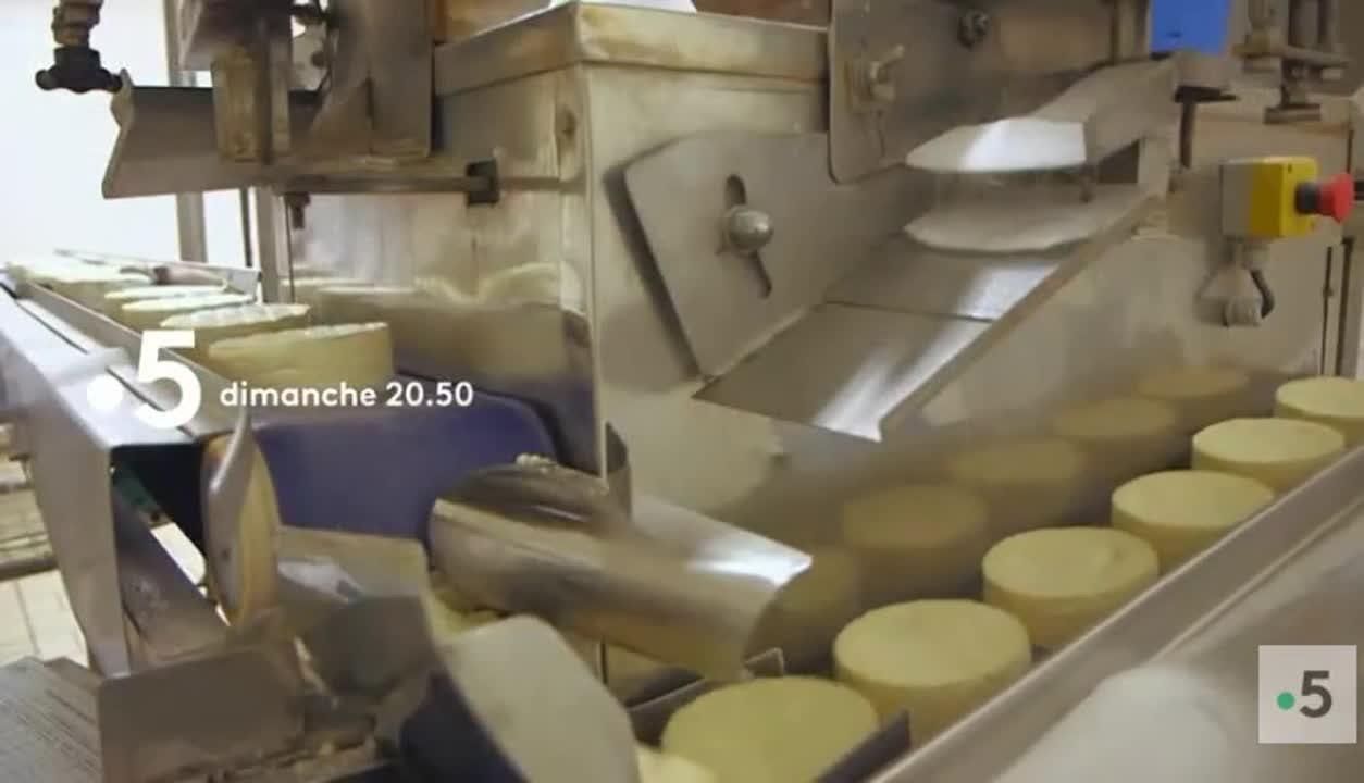 Fromages AOP : le terroir caisse ?