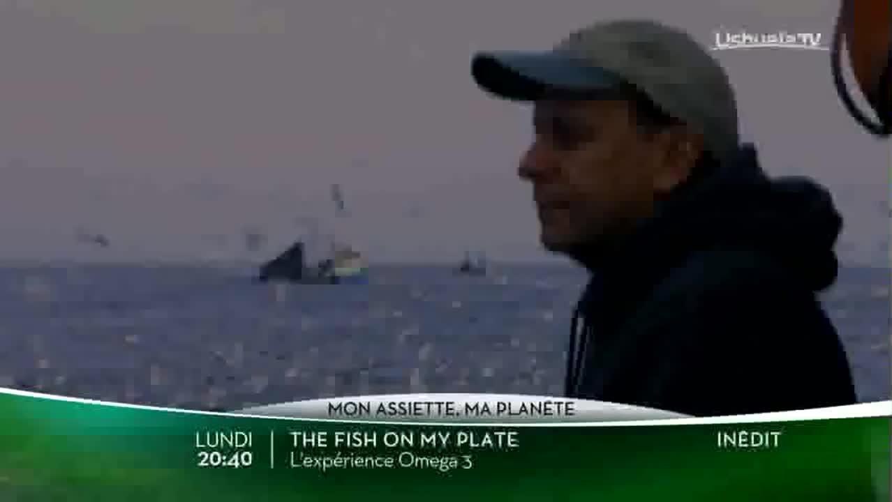 The Fish on my Plate : l'expérience omega 3