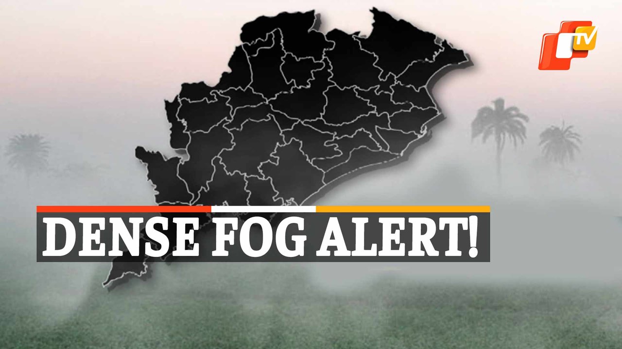 Weather Update: IMD Issues ‘Yellow Warning’ For Dense Fog In Several Districts Of Odisha