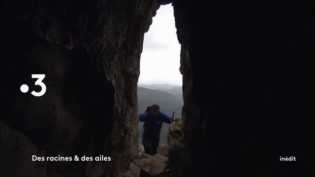 Des racines et des ailes - 10 octobre