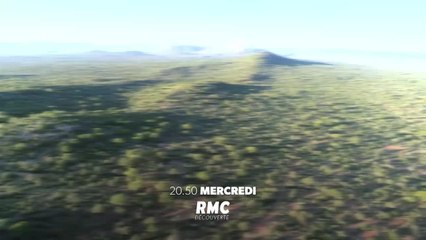 Retour à l’instinct primaire - 3 octobre