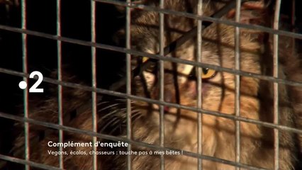 Complément d’enquête - 4 octobre