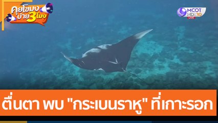 ตื่นตา พบ "กระเบนราหู" ที่เกาะรอก (4 ม.ค. 65) คุยโขมงบ่าย 3 โมง