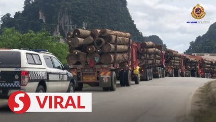 JPJ vehicles escorting timber lorries in Kelantan part of special operation