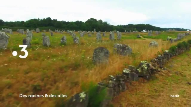 Des racines et des ailes : Le Morbihan, entre terre et océan