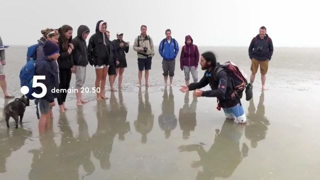 Echappées belles : Week-end sur la Côte d'Emeraude