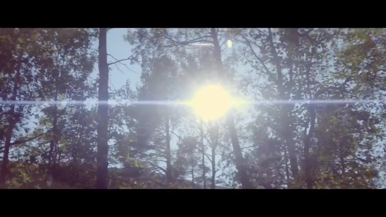 Ex Machina