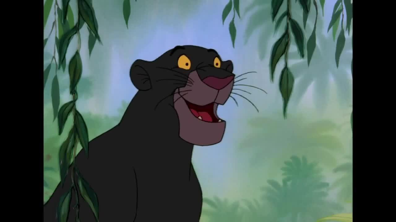 Le _livre de la jungle