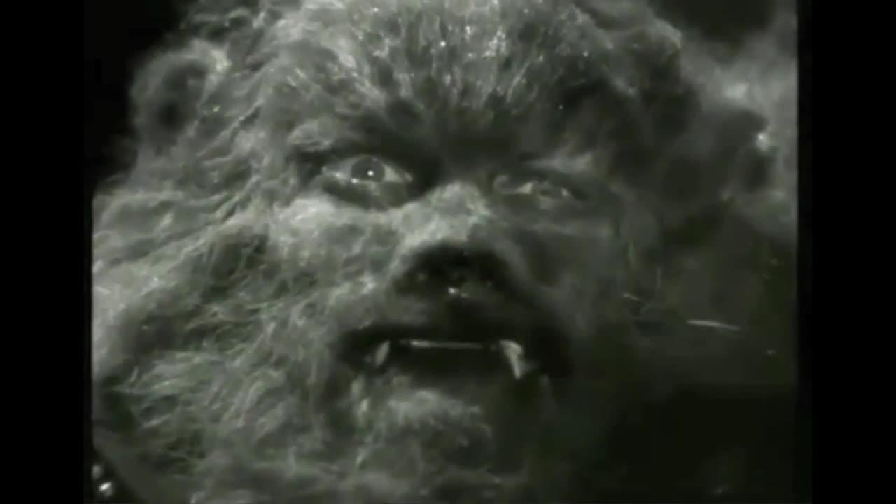 Le _testament d'Orphée