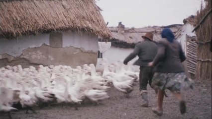 J'ai même rencontré des Tziganes heureux