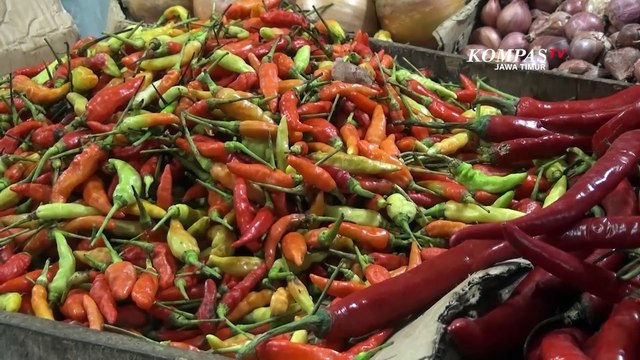 Harga Kebutuhan Pokok Masih Tinggi, Cabai Hijau Mulai Langka