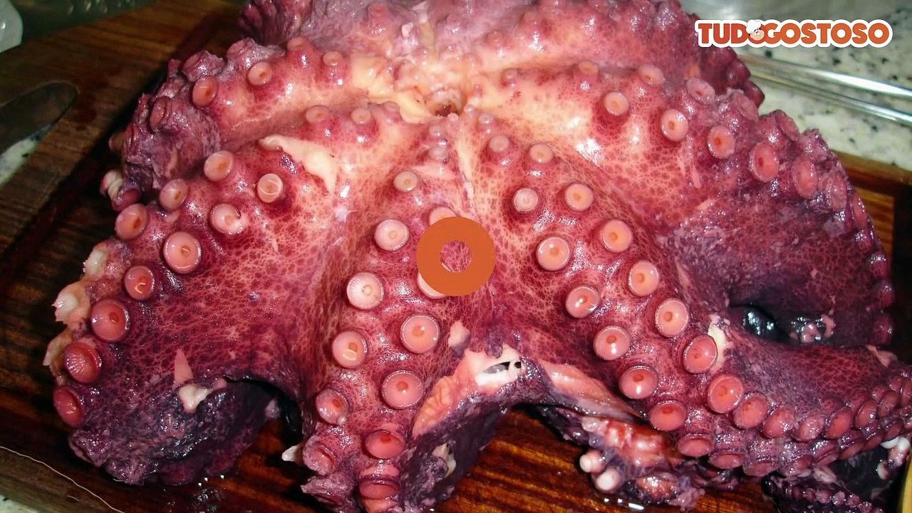 Como cozinhar polvo