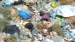 النفايات البلاستيكية تهدد البيئة في الأردن