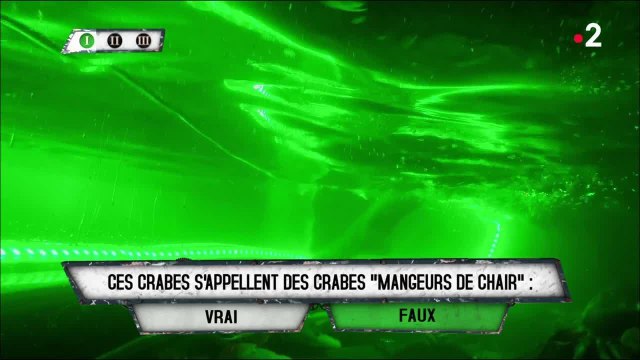 Chloé Nabédian terrorisée dans une épreuve de Fort Boyard