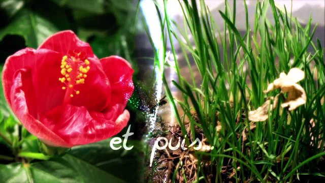 Aux sources de la vie