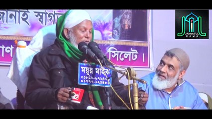 ওলীয়ে কামিল আল্লামা নুরুল ইসলাম বিশ্বনাথী হুজুর । Oliye Kamil Allama Nurul Islam Bishwanathi