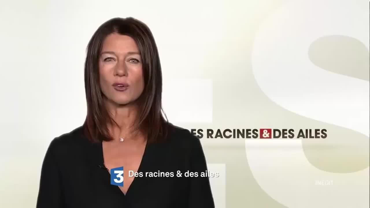 Des racines et des ailes