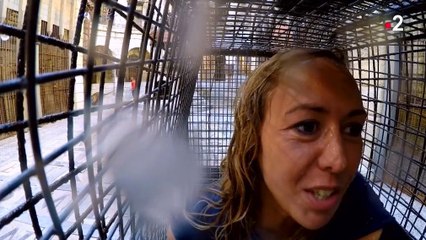 Enora Malagré s'éclate avec les tigres dans Fort Boyard !