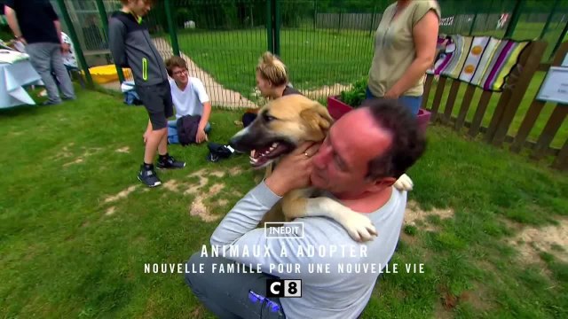 Animaux à adopter : nouvelle famille pour une nouvelle vie - 14 septembre