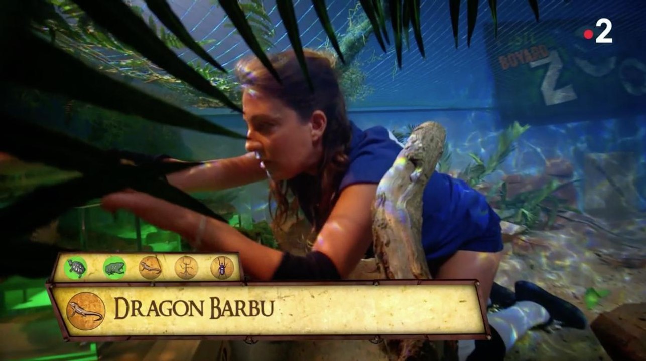 "Je t'aime" : l'inénarrable Eve Angeli crée la surprise dans le Zoo de Fort Boyard