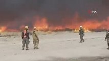 Patagonya yangını 90 bin hektar alanı küle çevirdi