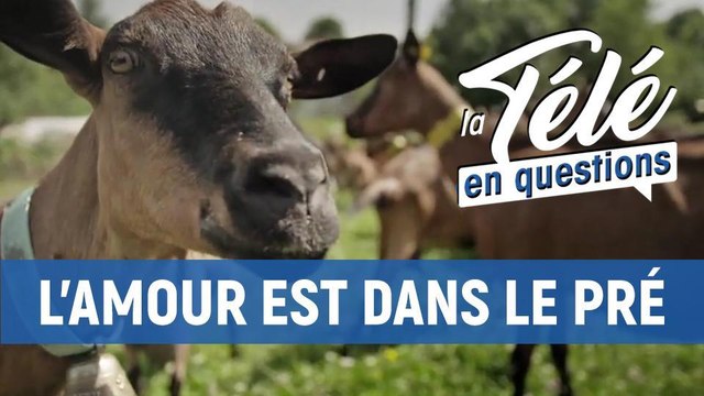 TLQ L'amour est dans le pré : les agriculteurs rencontrent-ils leurs prétendants avant les speed dating ?