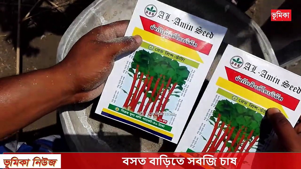বসত বাড়িতে সবজি চাষ | বসতবাড়ির আঙ্গিনায় শাকসবজি চাষ | Easy to grow vegetables for beginners at home | Vumika TV | Vomika Agro