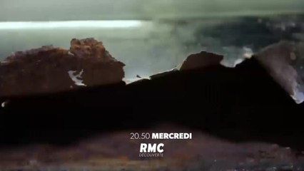 Vintage Garage : occaz à tous prix