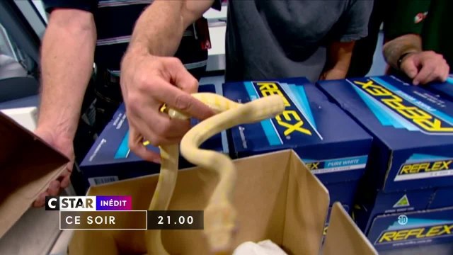 Douanes sous haute surveillance - 7 août