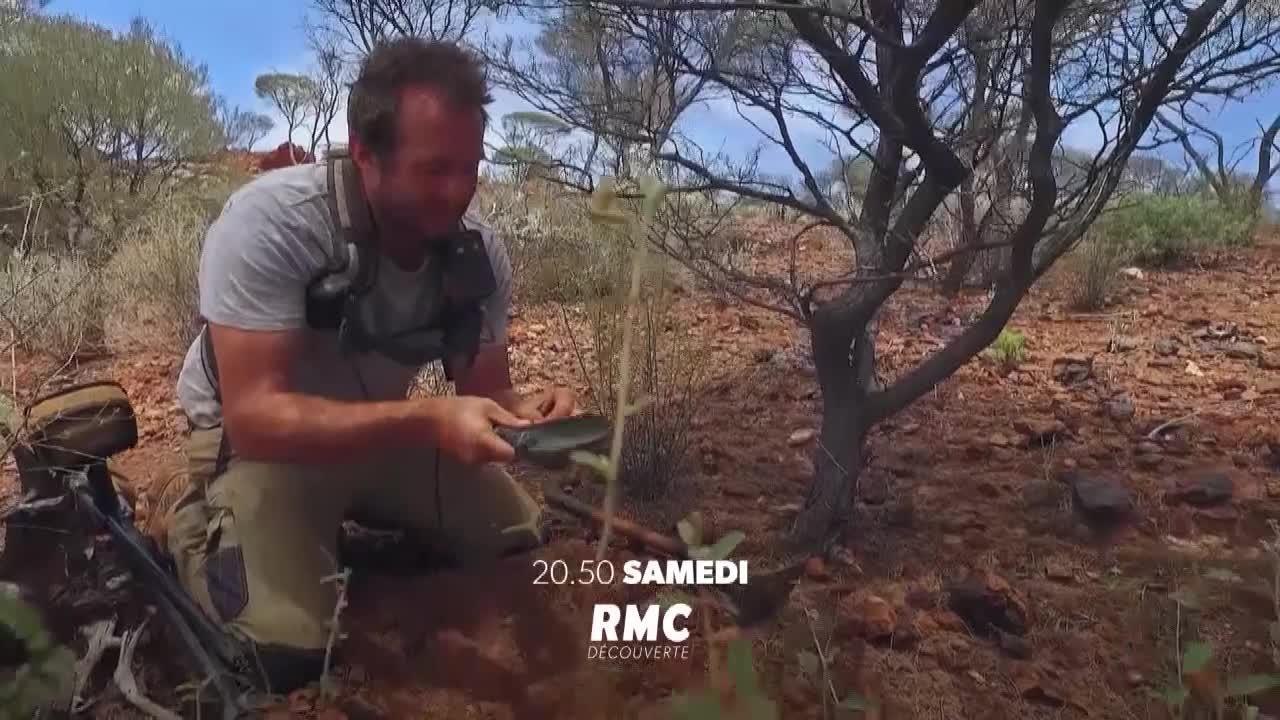 Australie, la ruée vers l'or