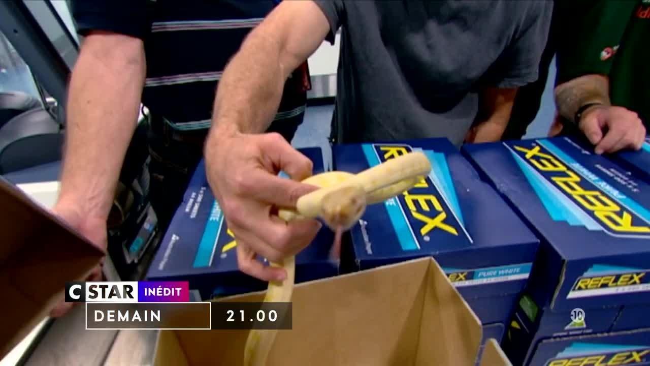 Douanes sous haute surveillance - 21 août