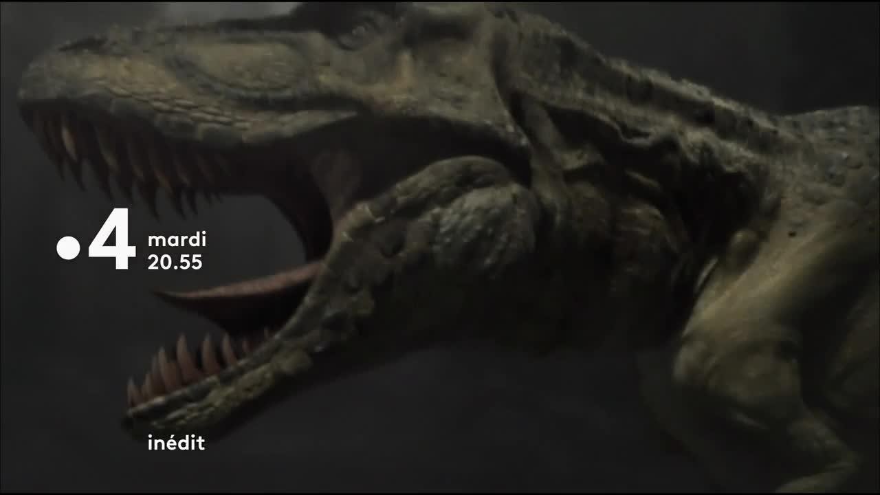 Enquête sur les prédateurs terrestres - 21 août