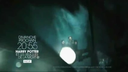 Harry Potter et les reliques de la mort : 2e partie