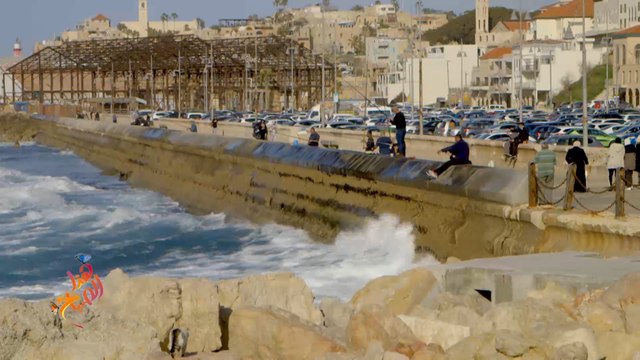 فلسطين.. حي العجمي أرقى أحياء يافا