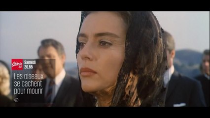 Les oiseaux se cachent pour mourir