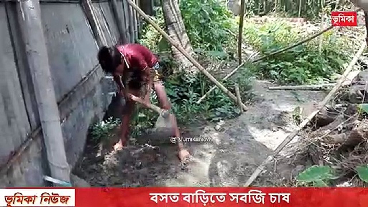 বসত বাড়িতে সবজি চাষ | বসতবাড়ির আঙ্গিনায় শাকসবজি চাষ | Easy to grow vegetables for beginners at home | Vumika TV | Vomika Agro